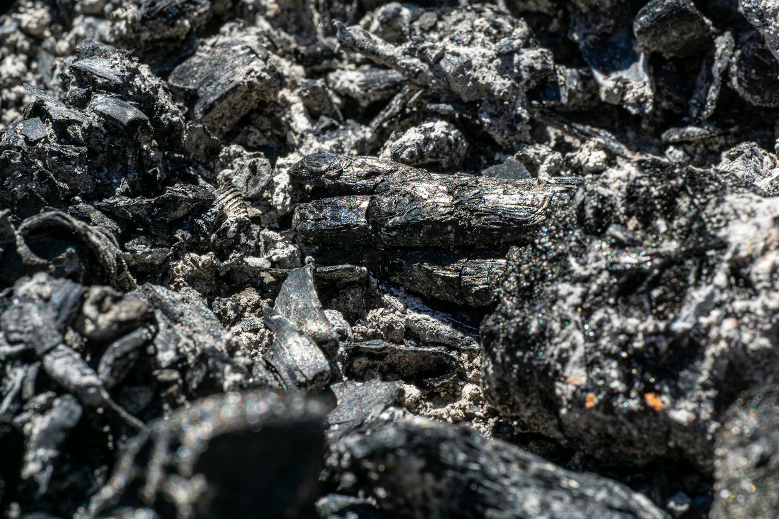 Coal