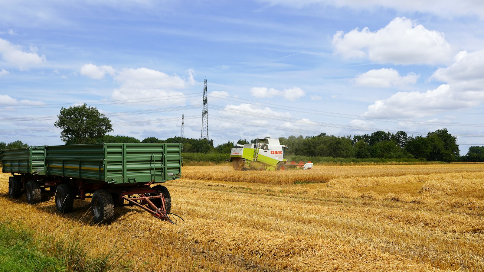 Agricultural Commodities - supporting image 3
